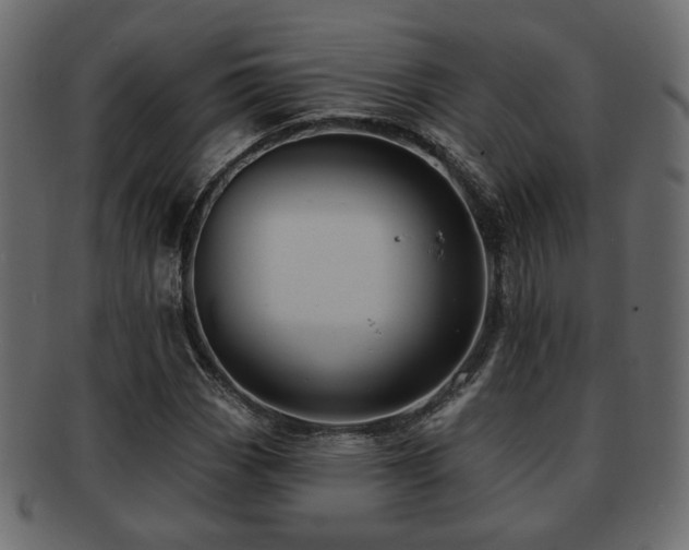 X0000093221113200709261626