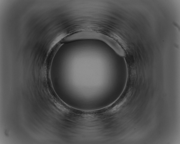X0000093221114200709261626