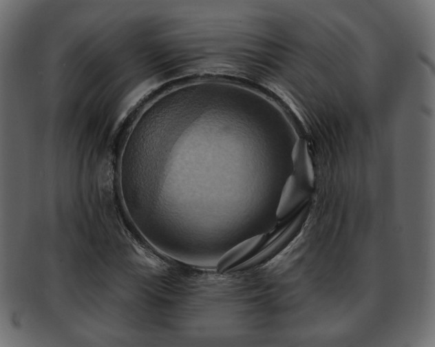 X0000093221115200709261626