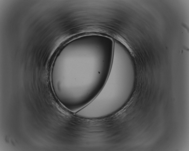 X0000093221116200709261626