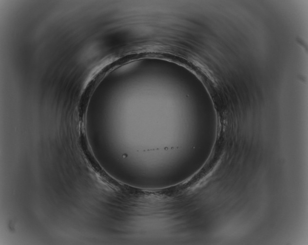 X0000093221117200709261626