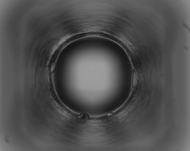 X0000093221118200709261626