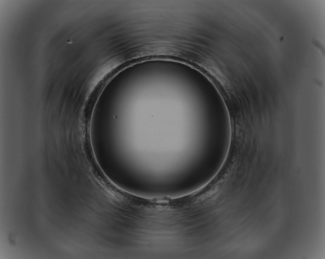 X0000093221119200709261626