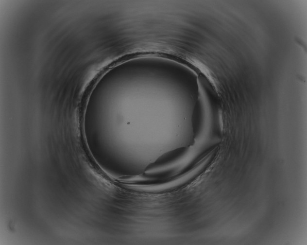 X0000093221120200709261626