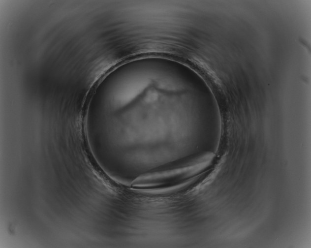 X0000093221121200709261626