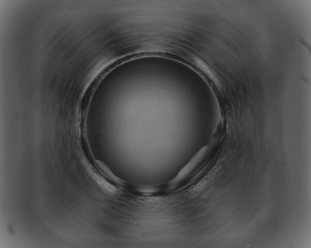 X0000093221124200709261626