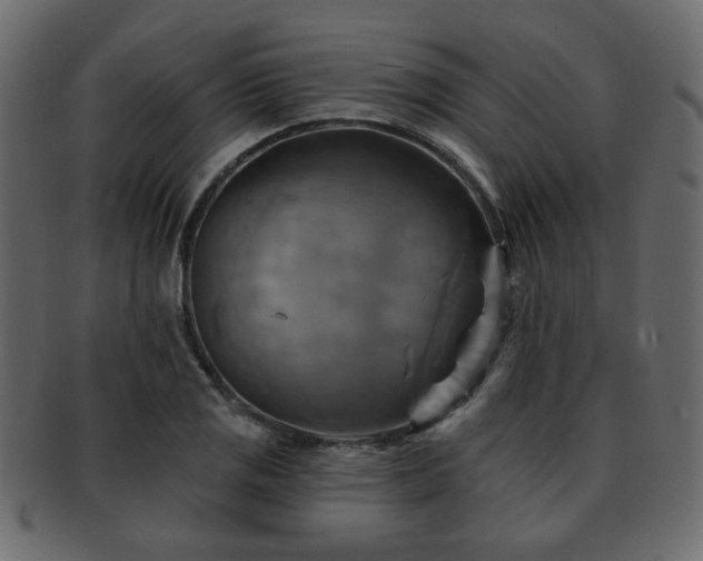 X0000093221125200709261626
