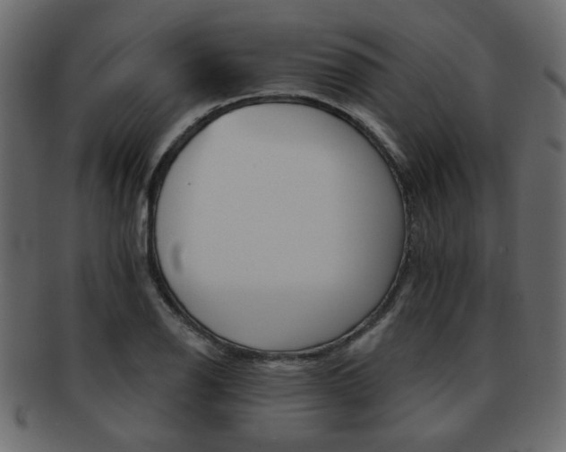 X0000093221126200709261626