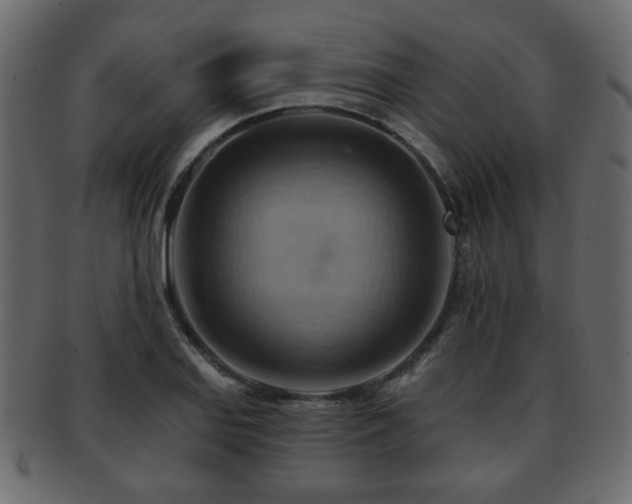 X0000093221127200709261626