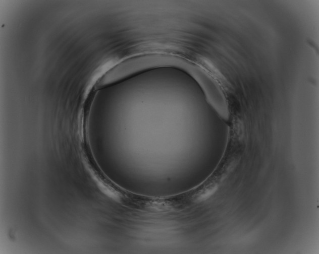 X0000093221128200709261626