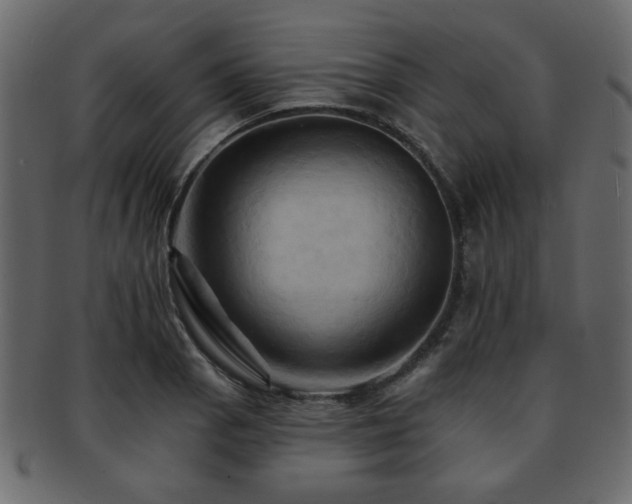 X0000093221129200709261626