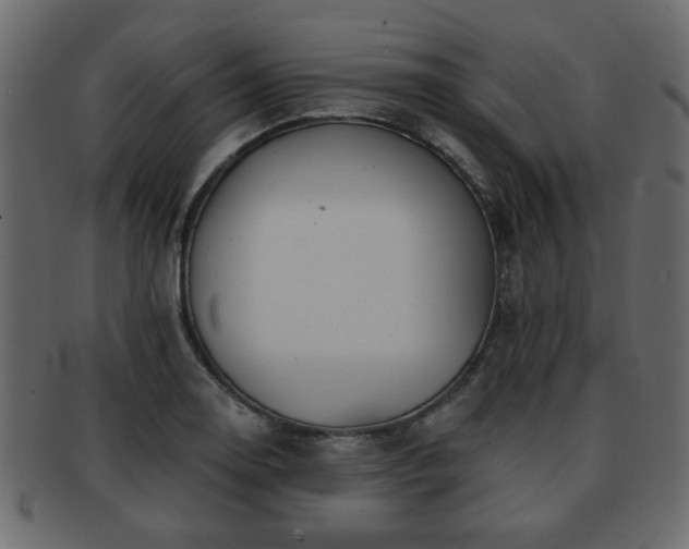 X0000093221130200709261626