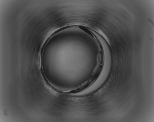 X0000093221132200709261626