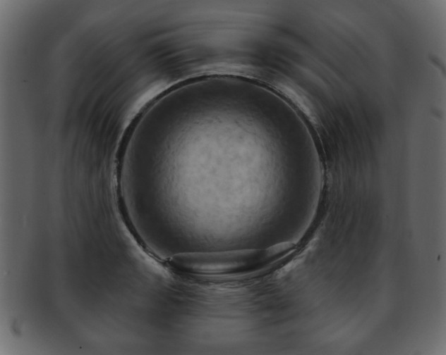 X0000093221133200709261626
