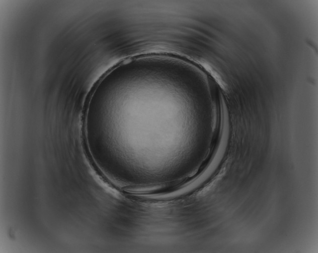 X0000093221134200709261626