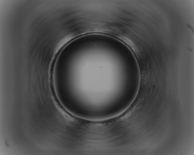 X0000093221135200709261626