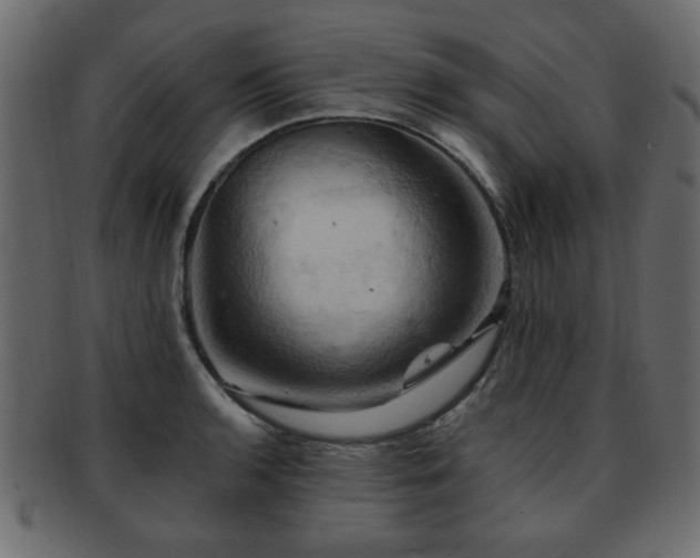 X0000093221136200709261626