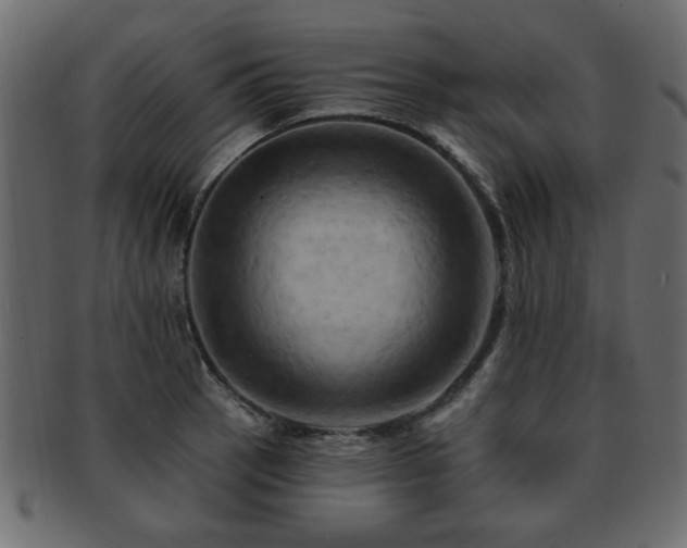 X0000093221137200709261626