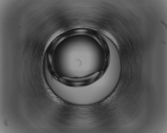 X0000093221138200709261626
