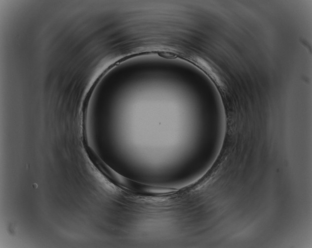 X0000093221140200709261626