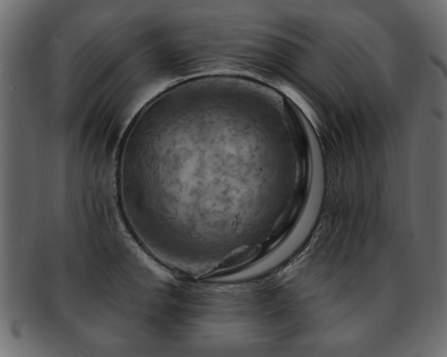 X0000093221142200709261626
