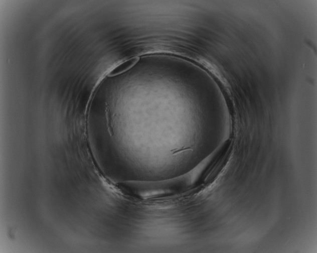 X0000093221145200709261626