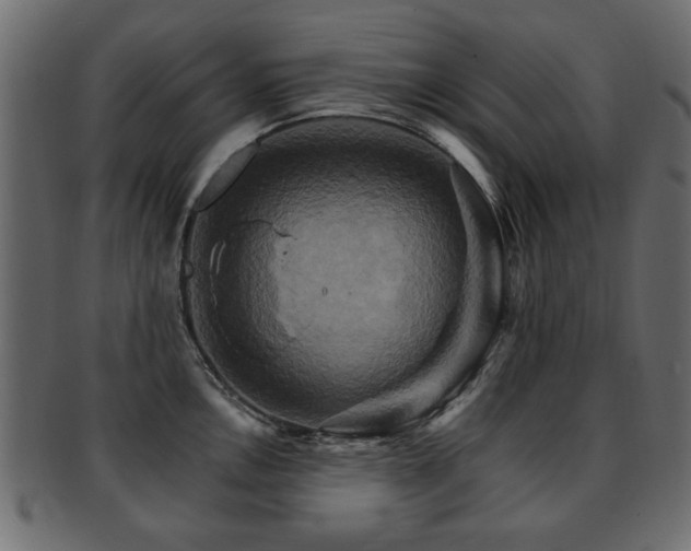 X0000093221146200709261626