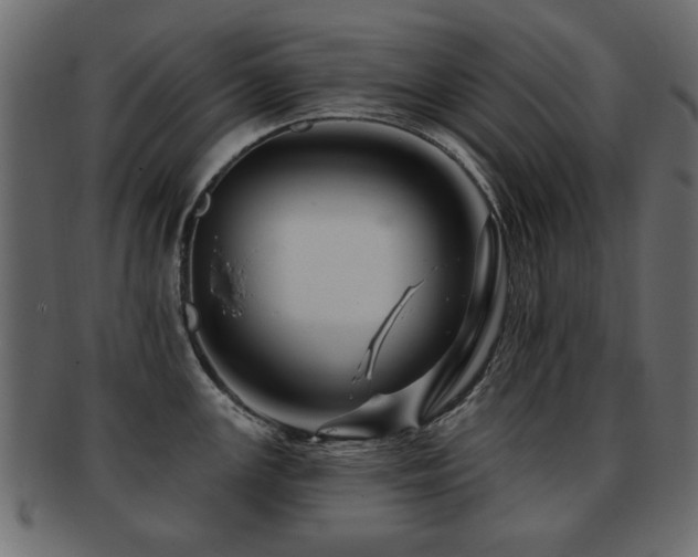 X0000093221147200709261626