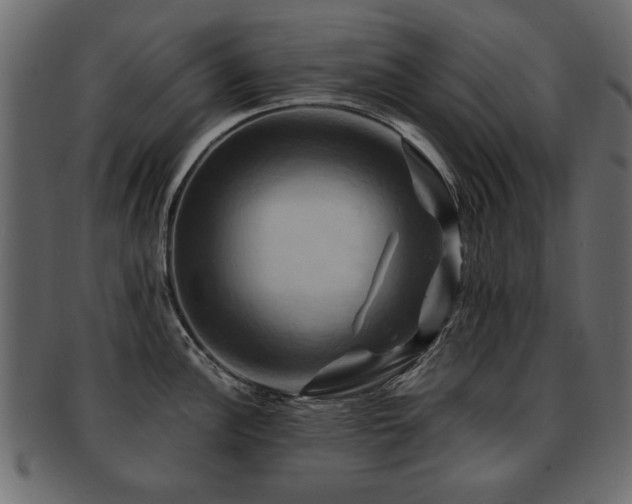 X0000093221148200709261626