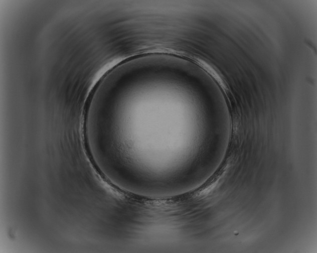 X0000093221149200709261626