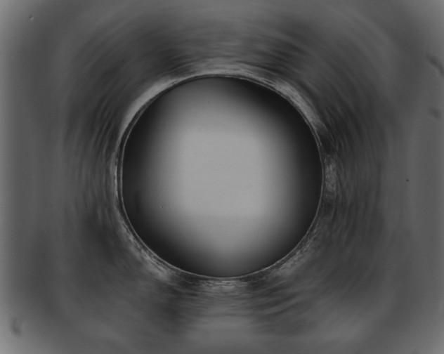 X0000093221150200709261626