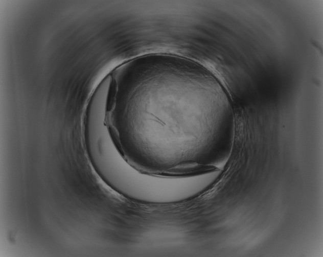 X0000093221151200709261626