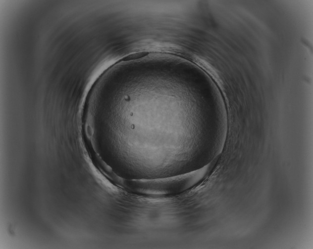 X0000093221152200709261626
