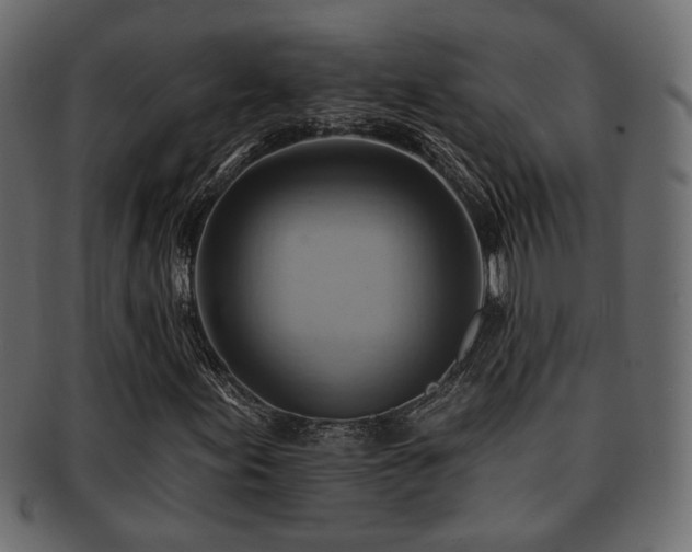 X0000093221155200709261626