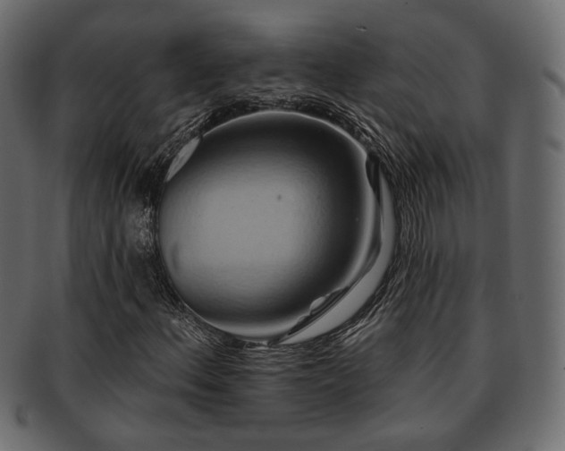 X0000093221156200709261626