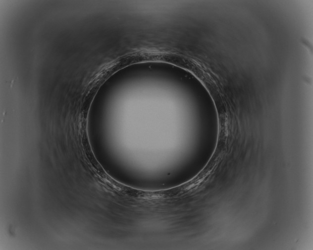 X0000093221157200709261626