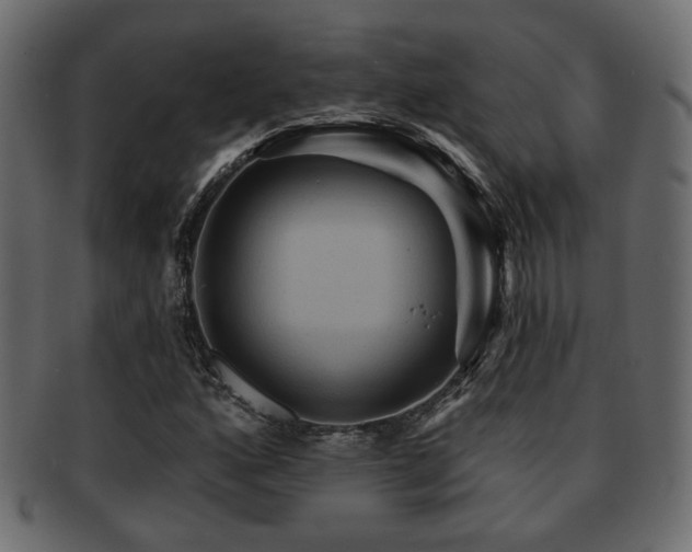 X0000093221160200709261626