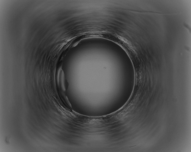 X0000093221161200709261626