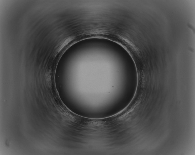 X0000093221162200709261626