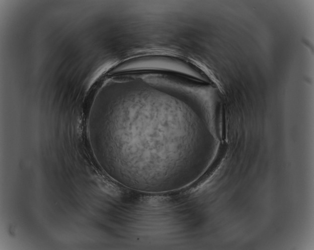 X0000093221163200709261626