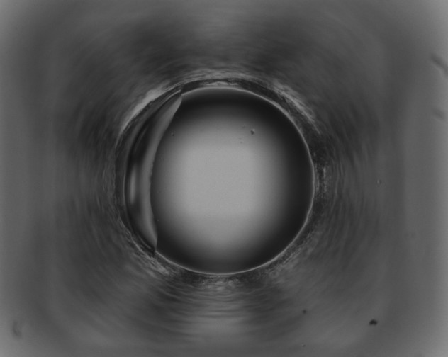 X0000093221165200709261626