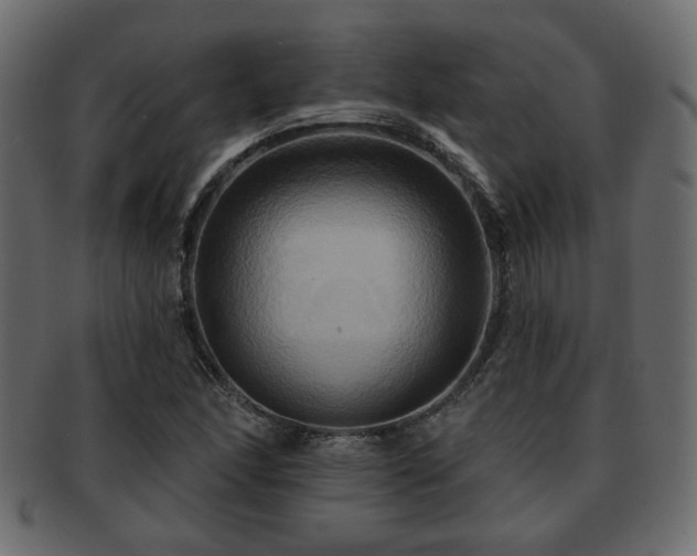 X0000093221166200709261626
