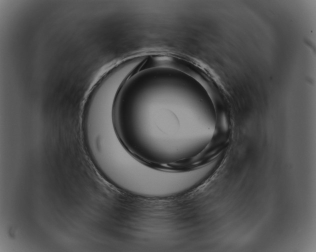 X0000093221168200709261626