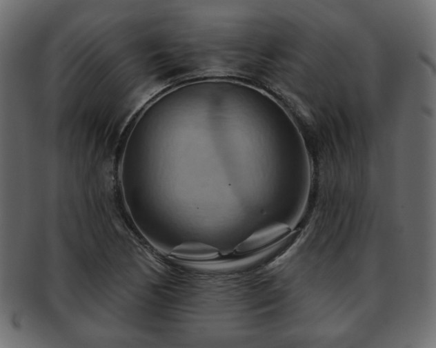 X0000093221170200709261626