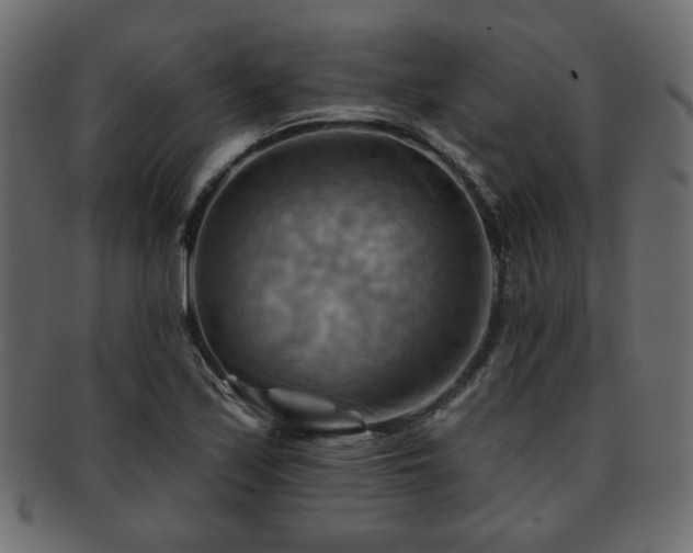 X0000093221171200709261626