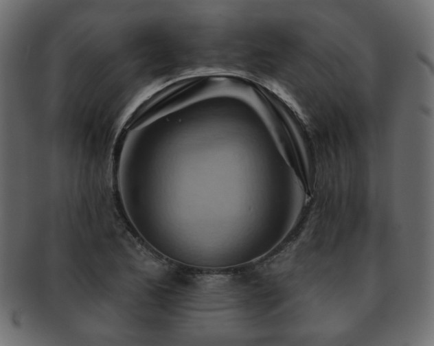 X0000093221173200709261626