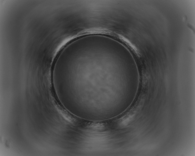 X0000093221174200709261625