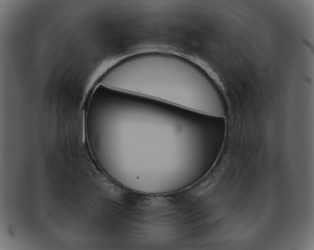 X0000093221175200709261625