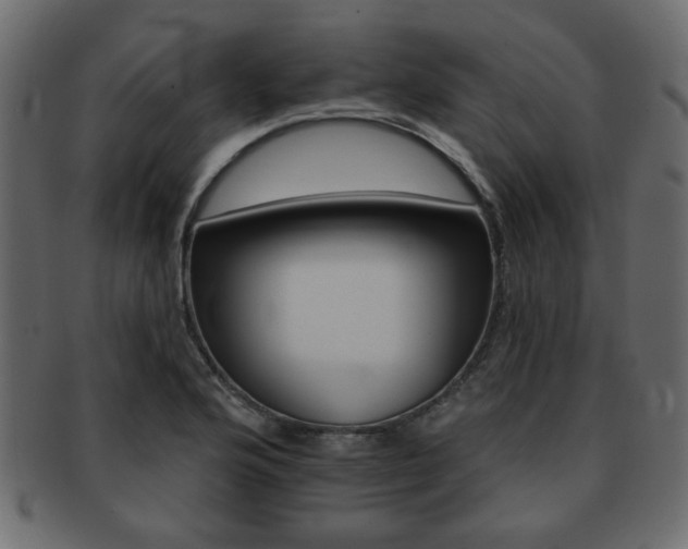 X0000093221176200709261625