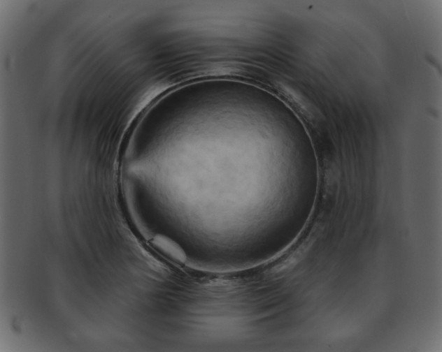 X0000093221178200709261625